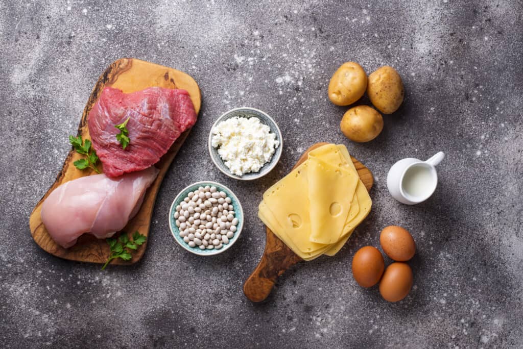 Products rich in amino acids. Protein sources and food for bodybuilders